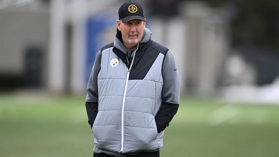 Butler: Tomlin called plays for LeBeau, too taken on the South Side (Steelers)